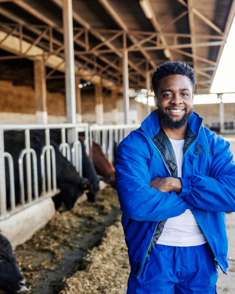 Élevage moderne Côte d'Ivoire