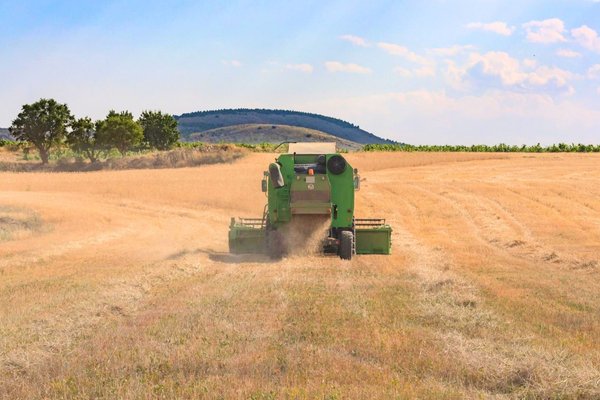 Développement agricole